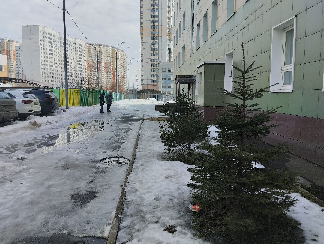 Озеленение, благоустройство