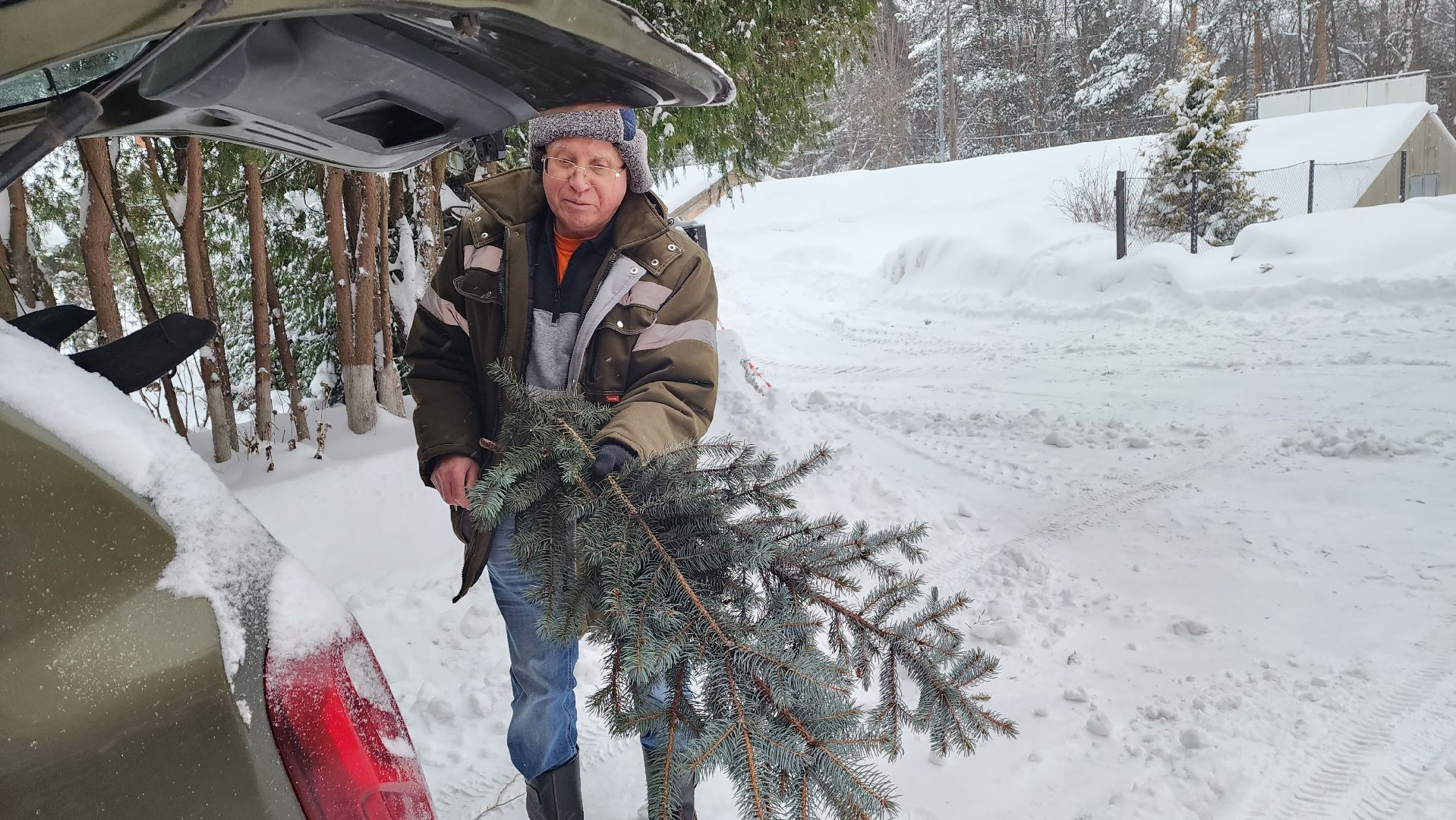 Подмосковье, Городской округ Пушкинский, Ивантеевки, Лесопитомник, Скоро новый год,