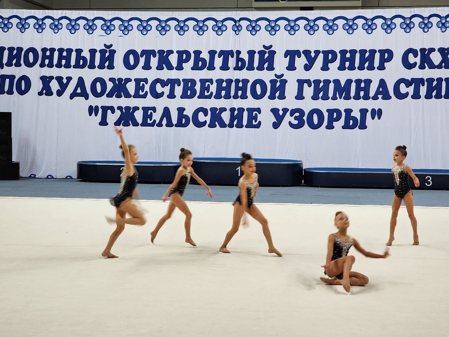 раменское, спорт, турнир по художественной гимнастике, гжельские узоры,