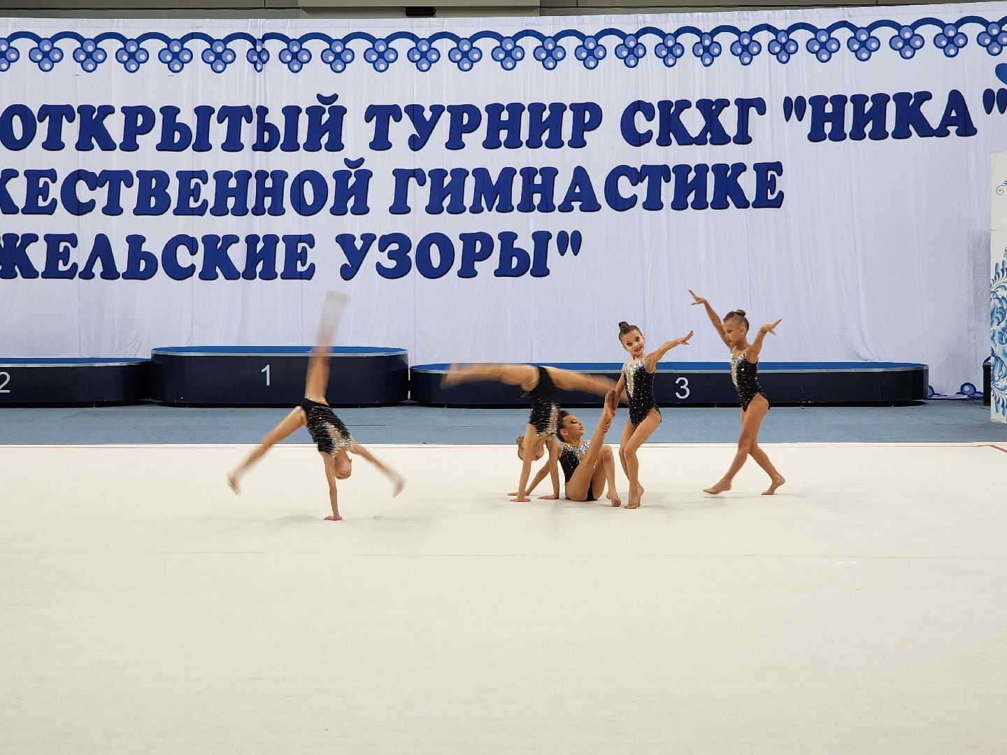 раменское, спорт, турнир по художественной гимнастике, гжельские узоры,