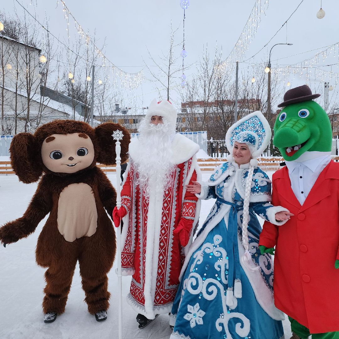 Егорьевск, Каток, каток в парке, искусственный лед, подмосковье, московская область, открытие катка,