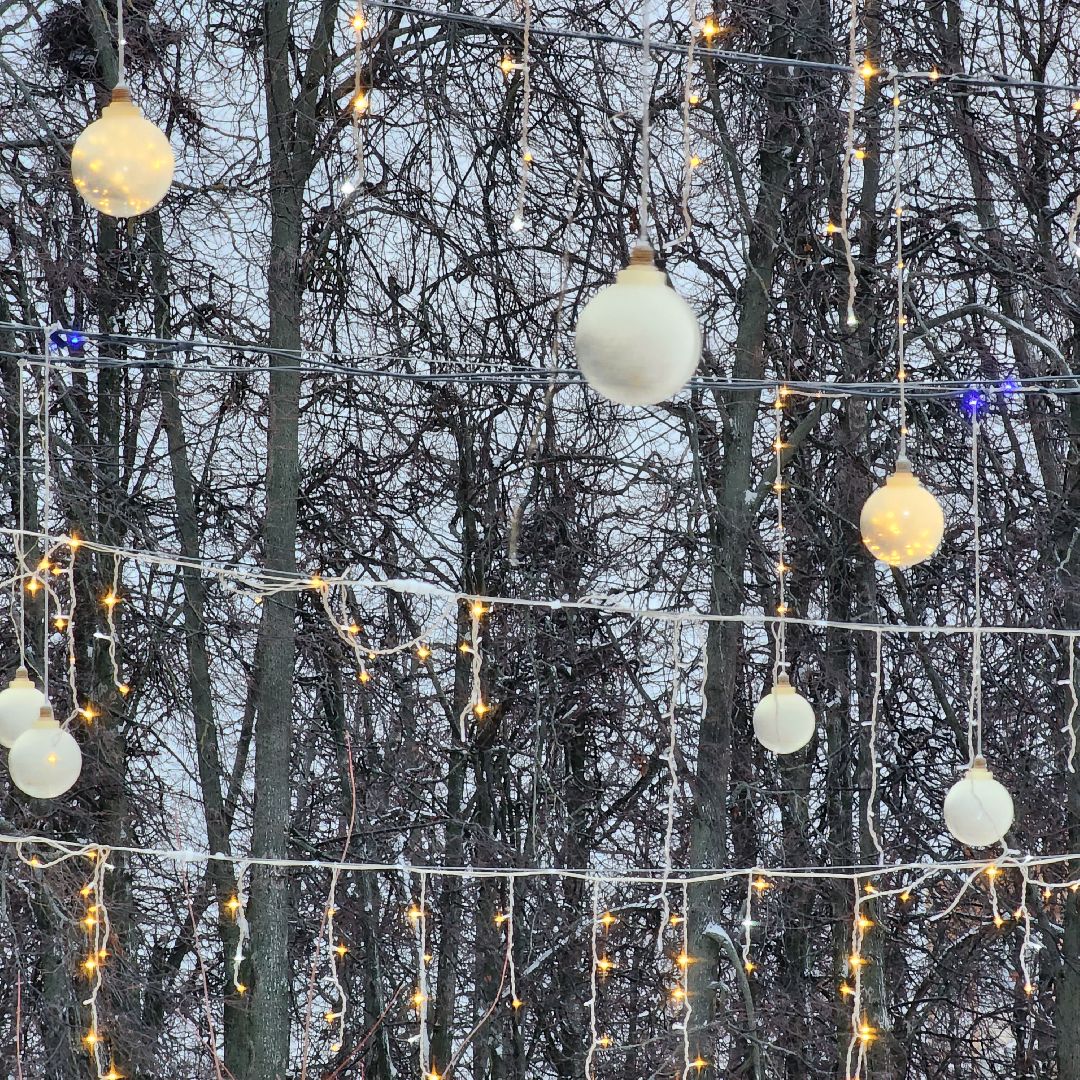 Егорьевск, Каток, каток в парке, искусственный лед, подмосковье, московская область, открытие катка,