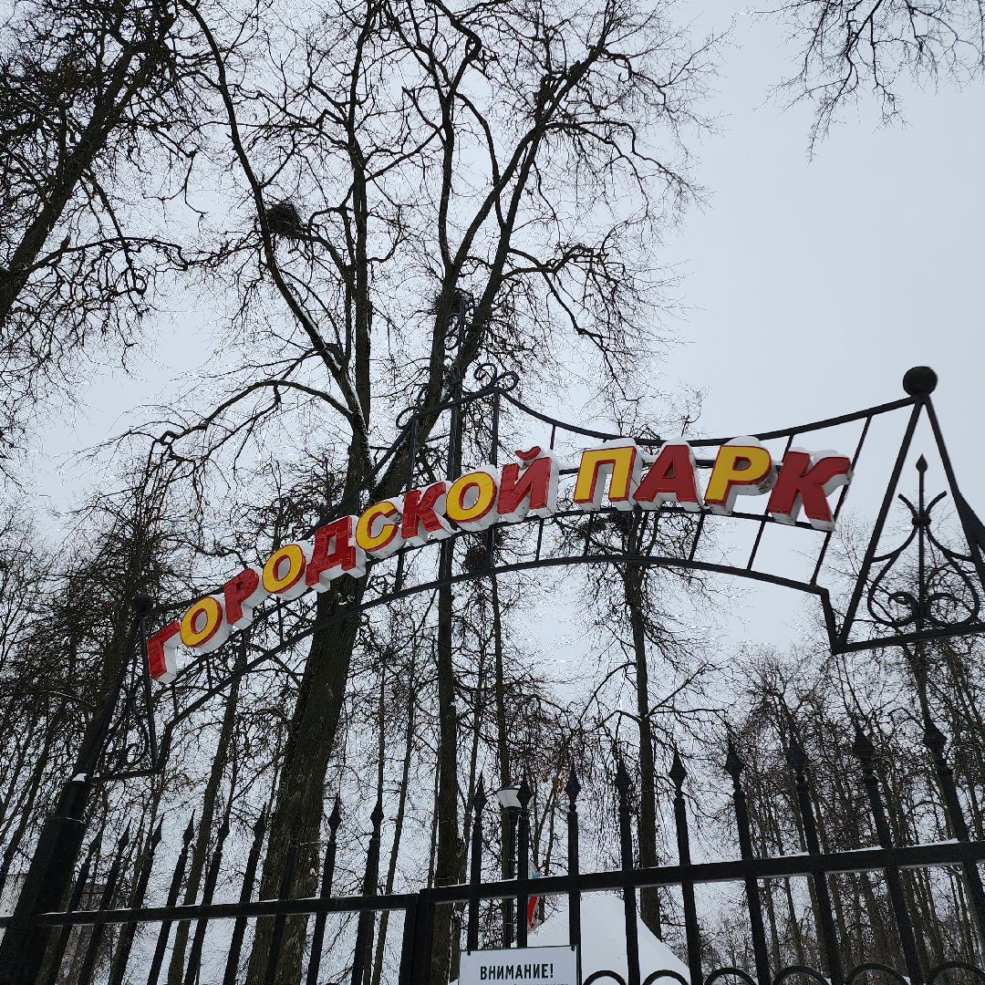 Егорьевск, Каток, каток в парке, искусственный лед, подмосковье, московская область, открытие катка,