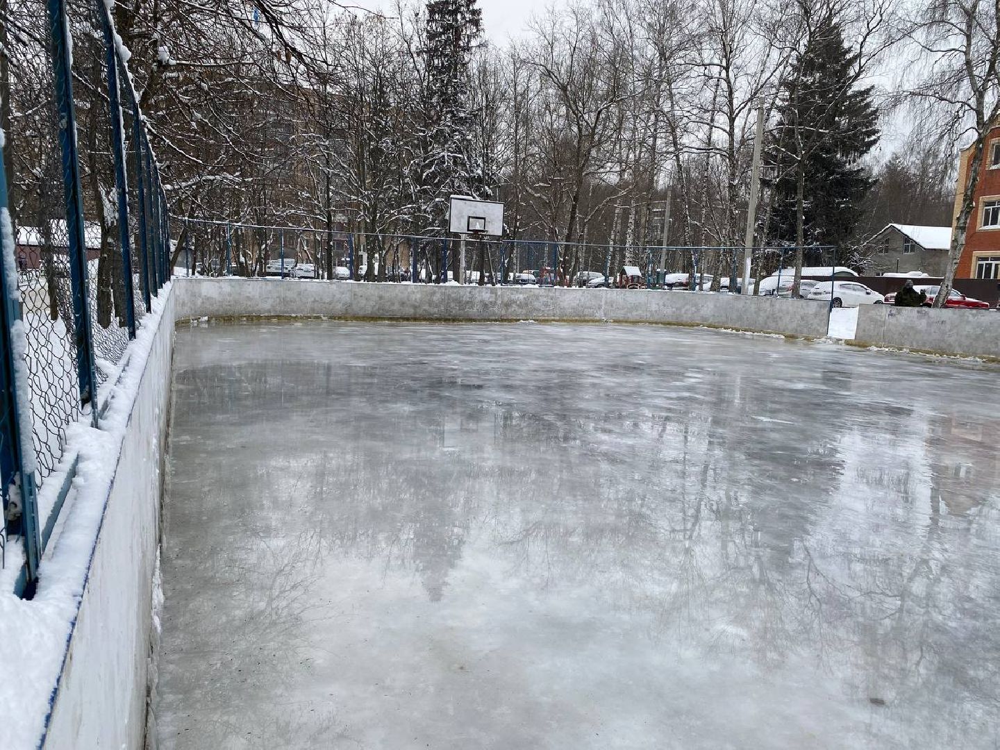 каток в центре города, пушкино, спорткомплекс,