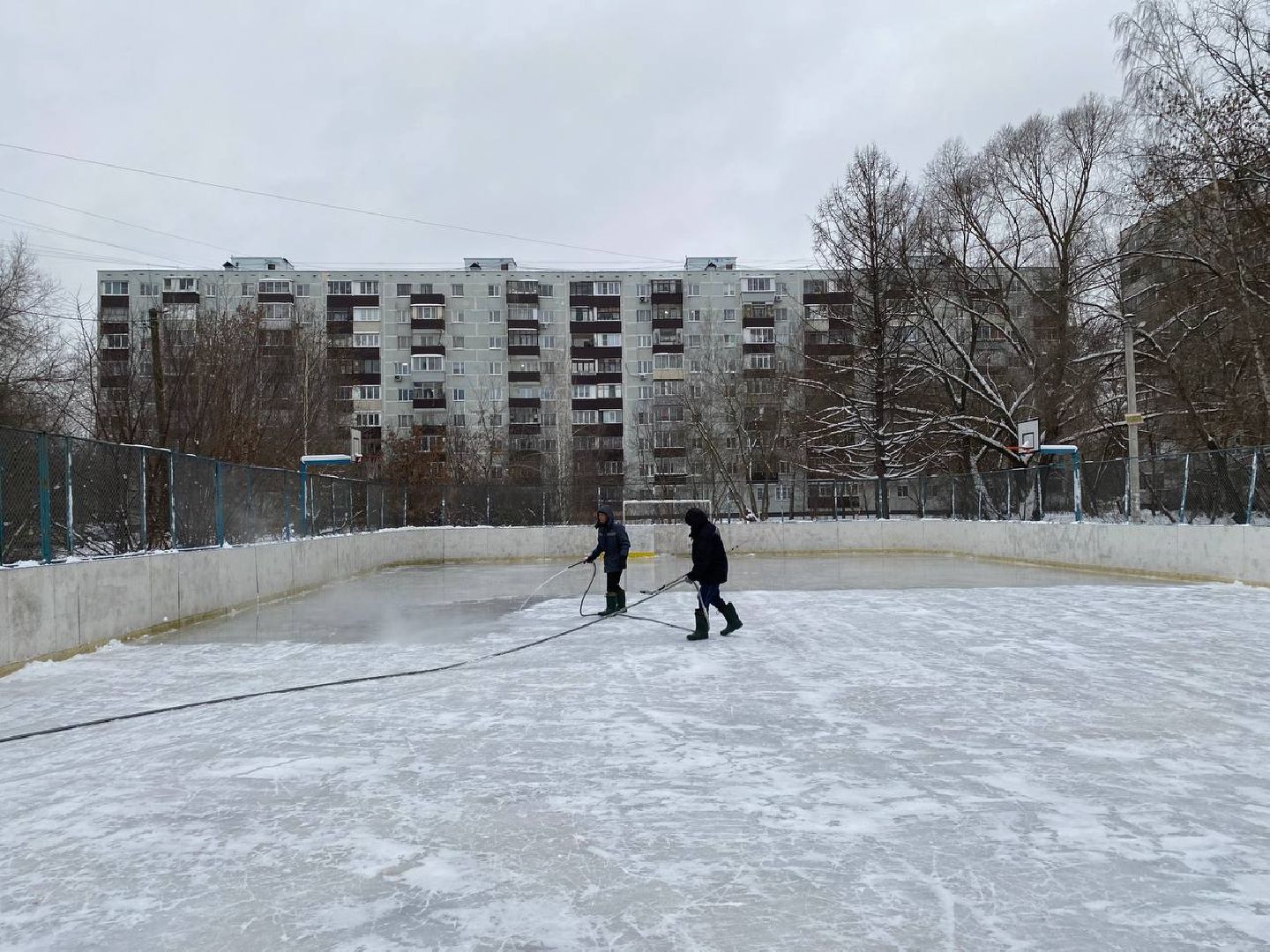 каток в центре города, пушкино, спорткомплекс,