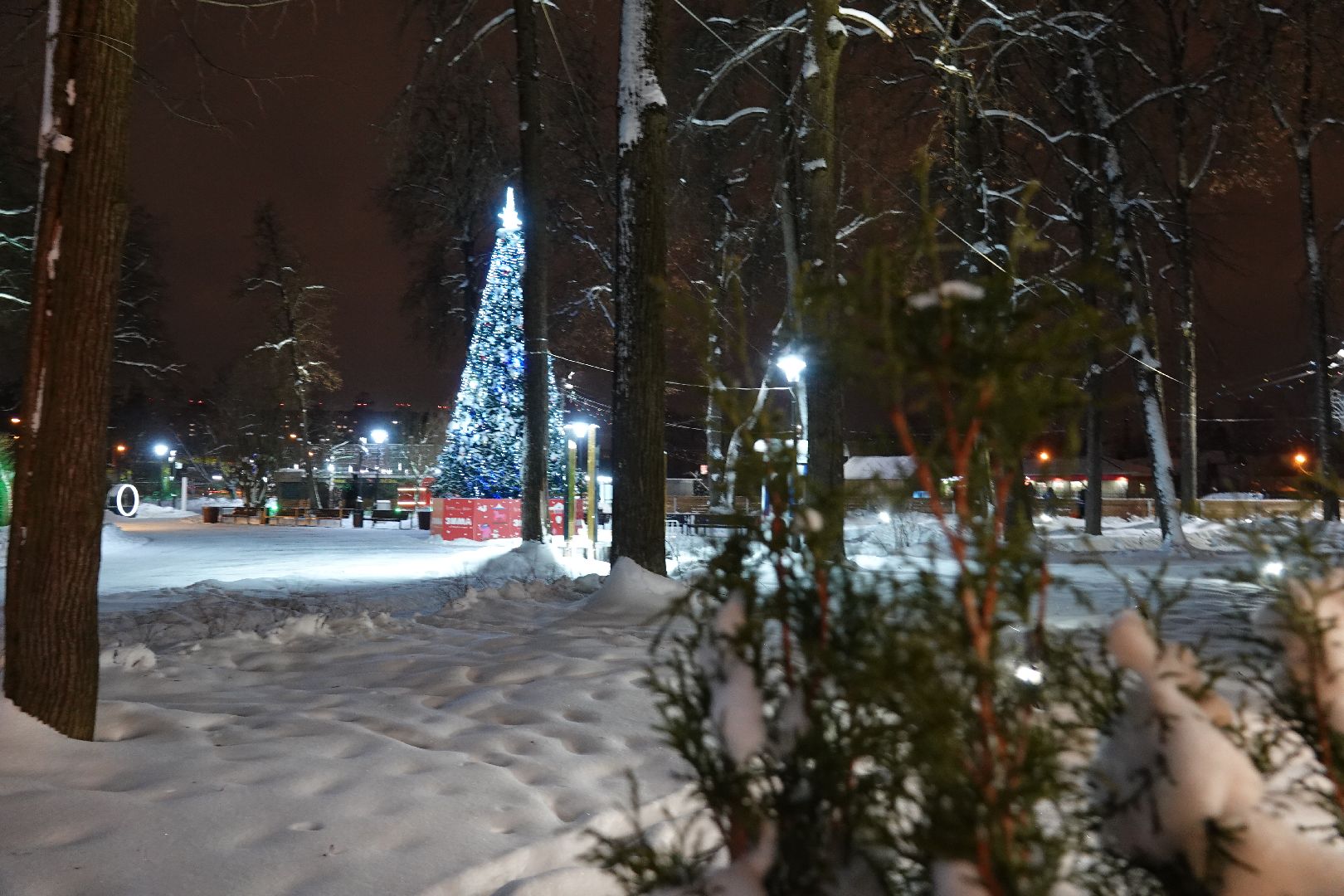 Сергиев Посад, Парки, Зима в Подмосковье, Мособлпарк, Новый год, Культура, Благоустройство, Знак качества, Дед Мороз, Скитские пруды, Парк Покровский, Хотьково, Сергиево-Посадский городской округ,