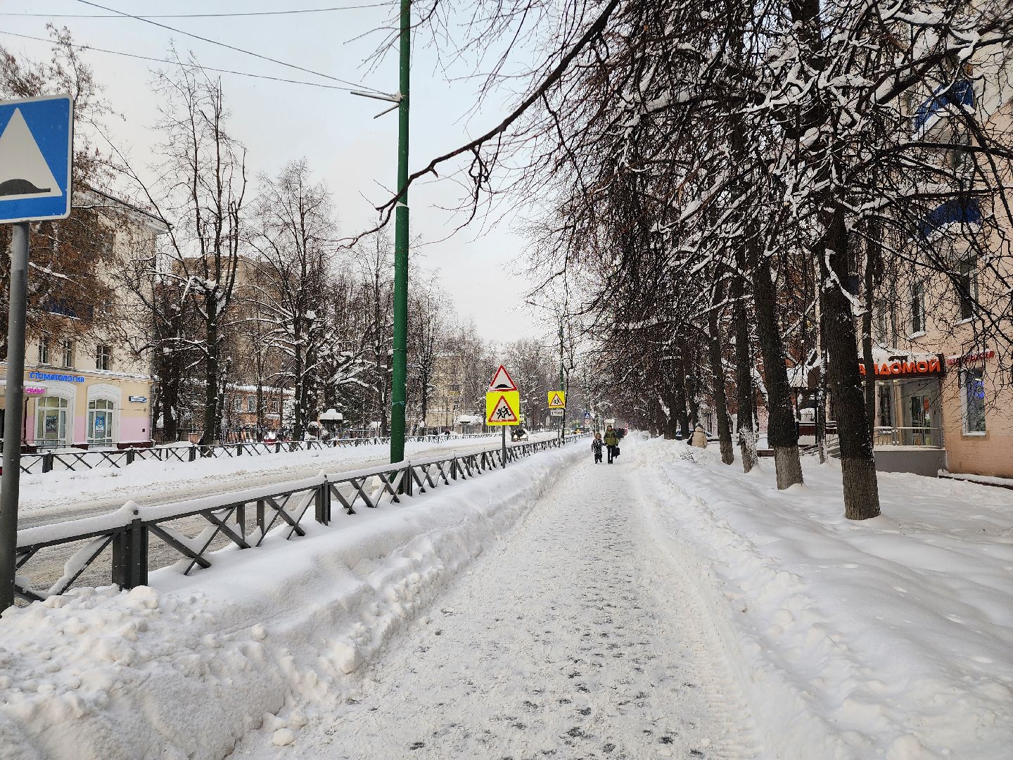 Химки, Подмосковье, снег, зима, холода,