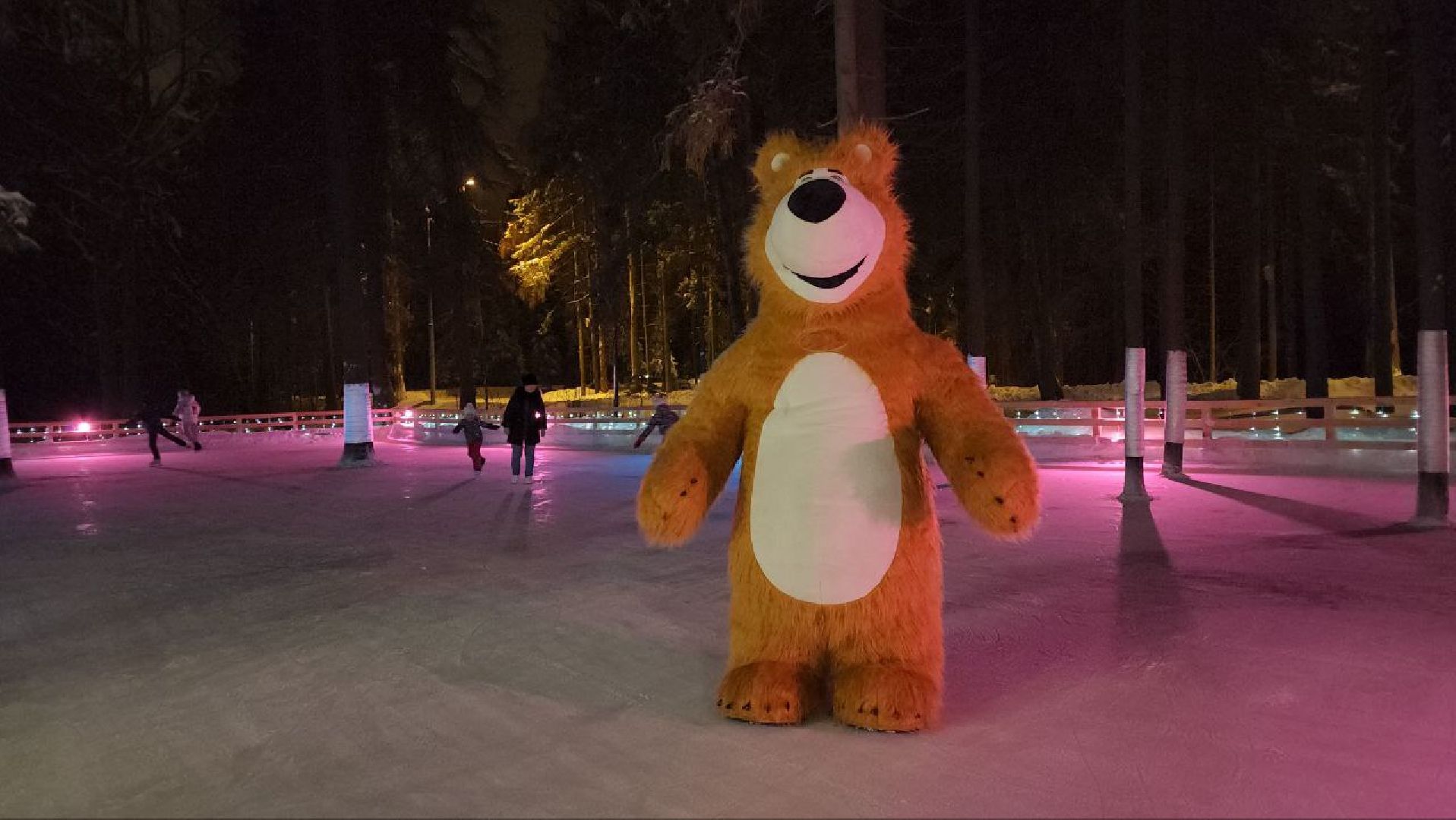 мытищи, лесопарк, каток, михаил девятьяров, Олимпийские игры, Олимпиада 1988, бесплатный каток,