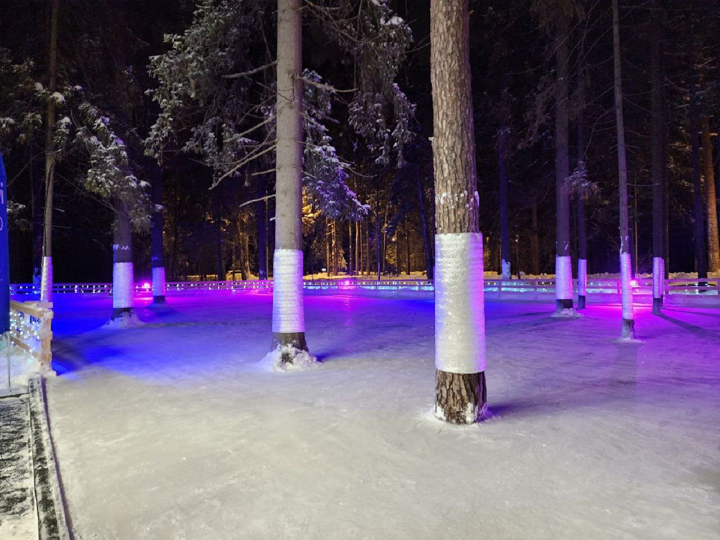 мытищи, лесопарк, каток, михаил девятьяров, Олимпийские игры, Олимпиада 1988, бесплатный каток,