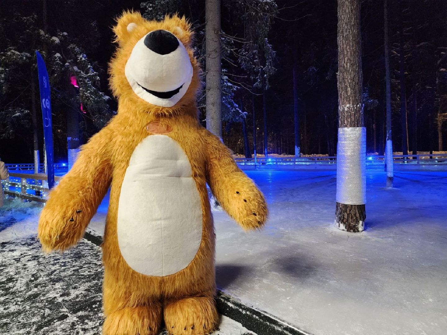 мытищи, лесопарк, каток, михаил девятьяров, Олимпийские игры, Олимпиада 1988, бесплатный каток,