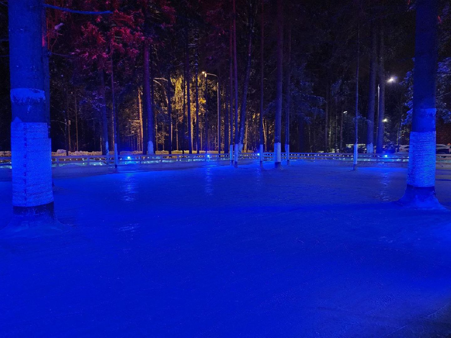 мытищи, лесопарк, каток, михаил девятьяров, Олимпийские игры, Олимпиада 1988, бесплатный каток,