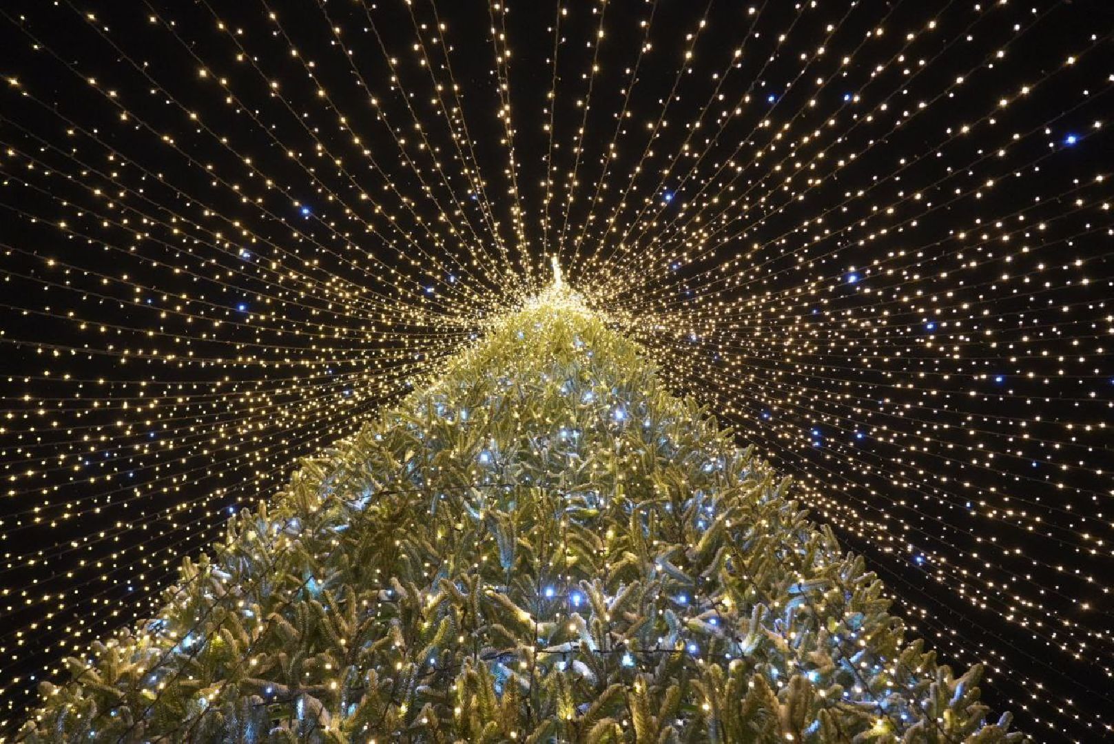 Сергиево-Посадской городской округ, Сергиев Посад, Новый год, Елка, Зима в Подмосковье, Праздник, Зажжение огней на елке, Благоустройство, Дед Мороз, Снегурочка,