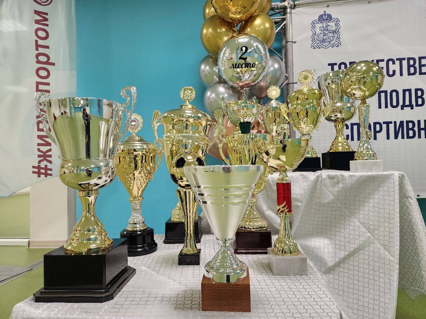 спорт, награждение, спортсмены, Ногинск, Богородский городской округ,