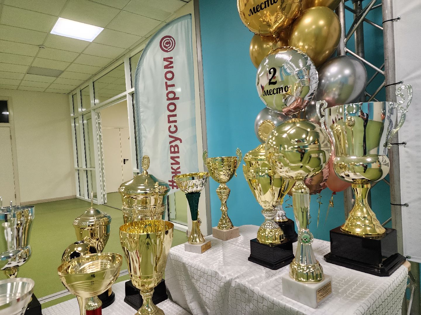 спорт, награждение, спортсмены, Ногинск, Богородский городской округ,