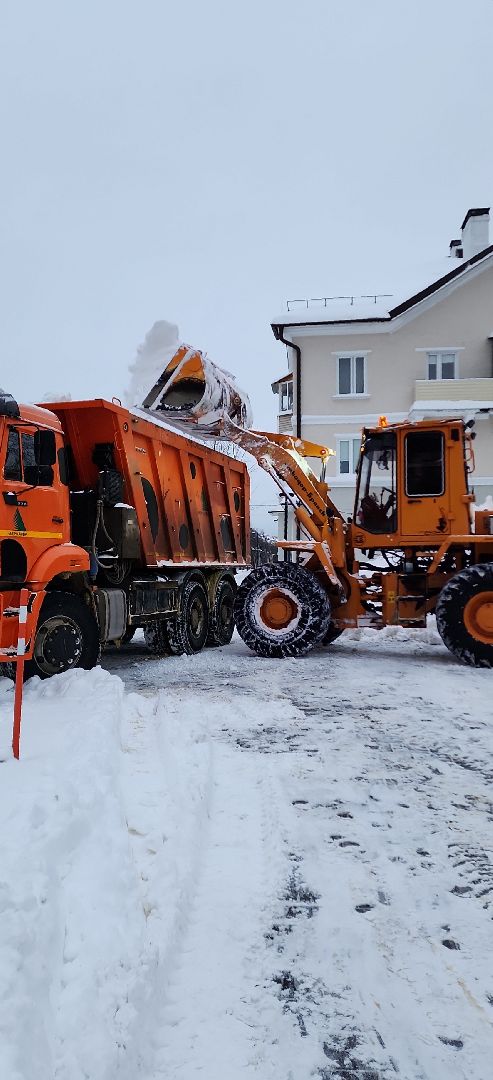 электросталь, жкх, жкх; дороги; инвалиды; решения вопросов; депутаты, снегопад, снегоуборка, снегоуборочная техника, благоуйстройство, вывоз снега,