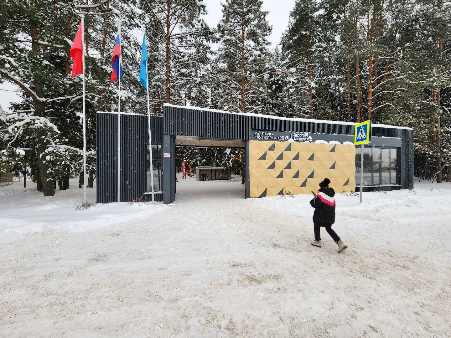 Лес, Парк, Лыжи, лыжная трасса, соревнования, зажжение елки,