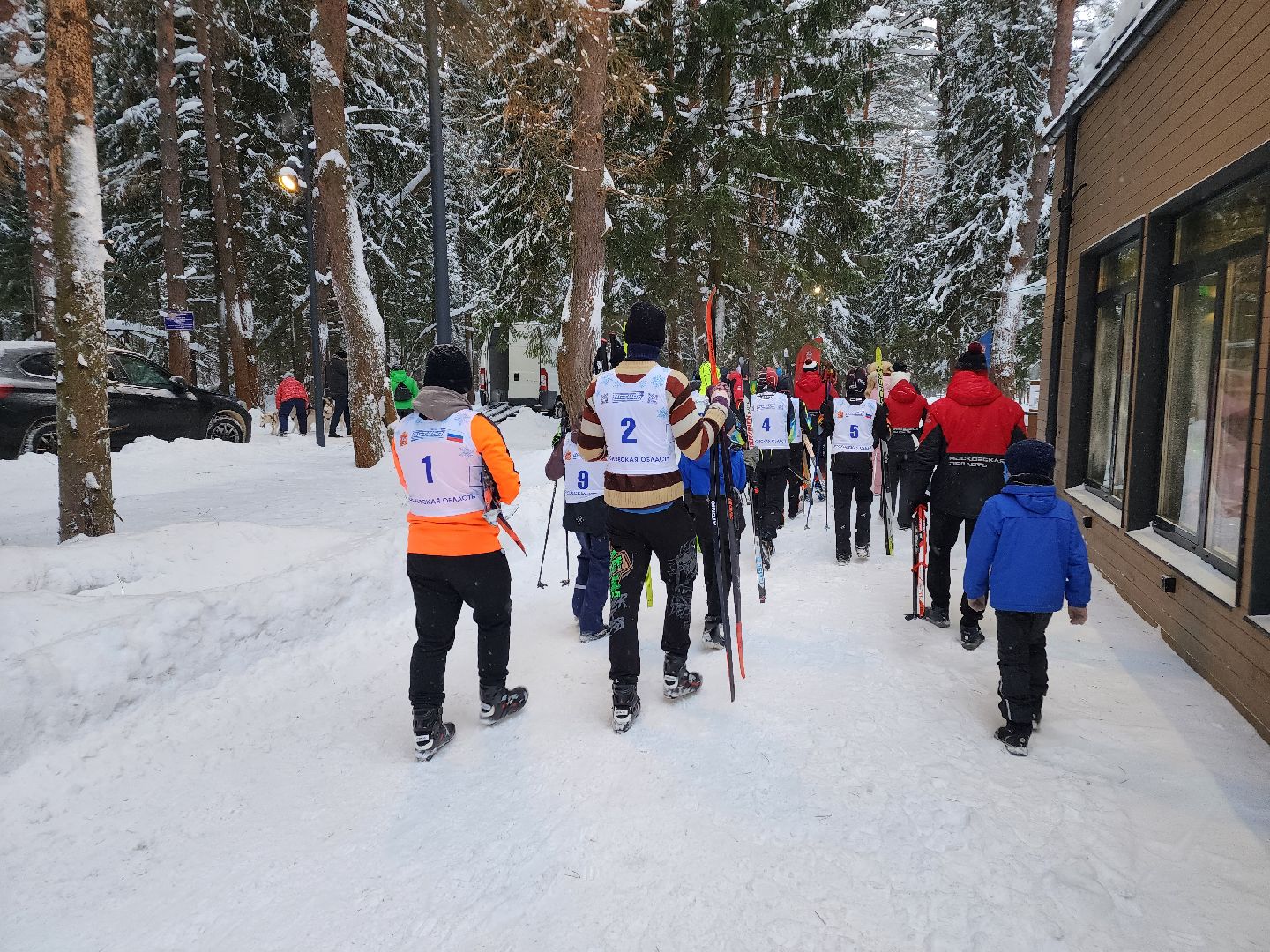 Лес, Парк, Лыжи, лыжная трасса, соревнования, зажжение елки,