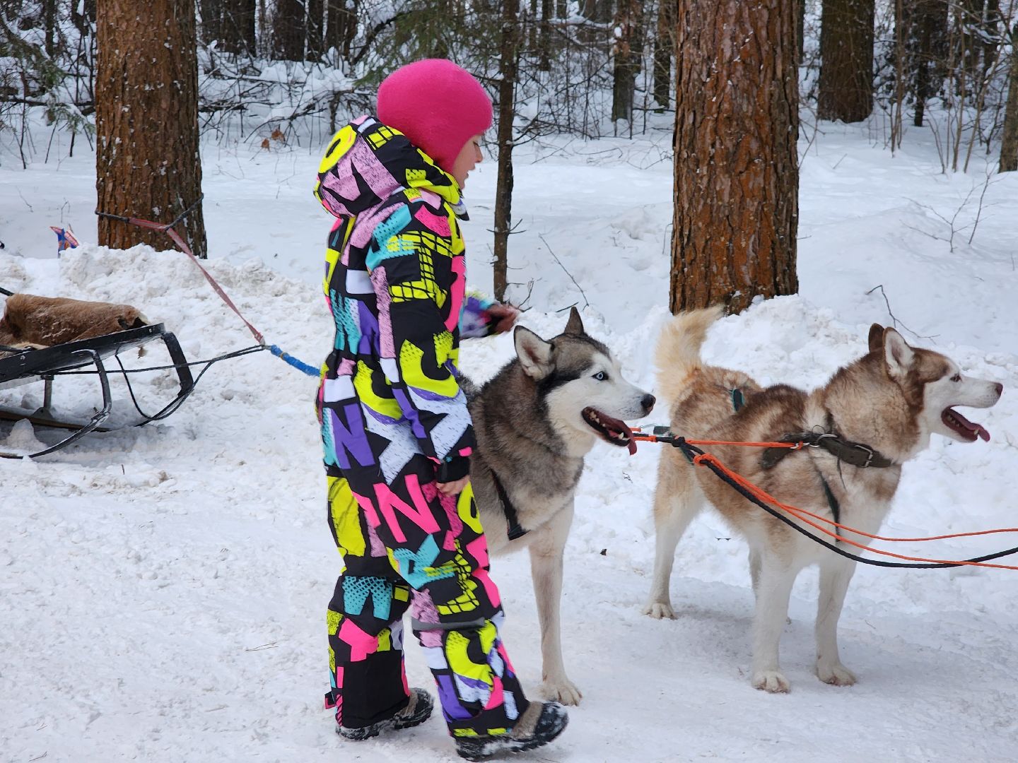 Лес, Парк, Лыжи, лыжная трасса, соревнования, зажжение елки,