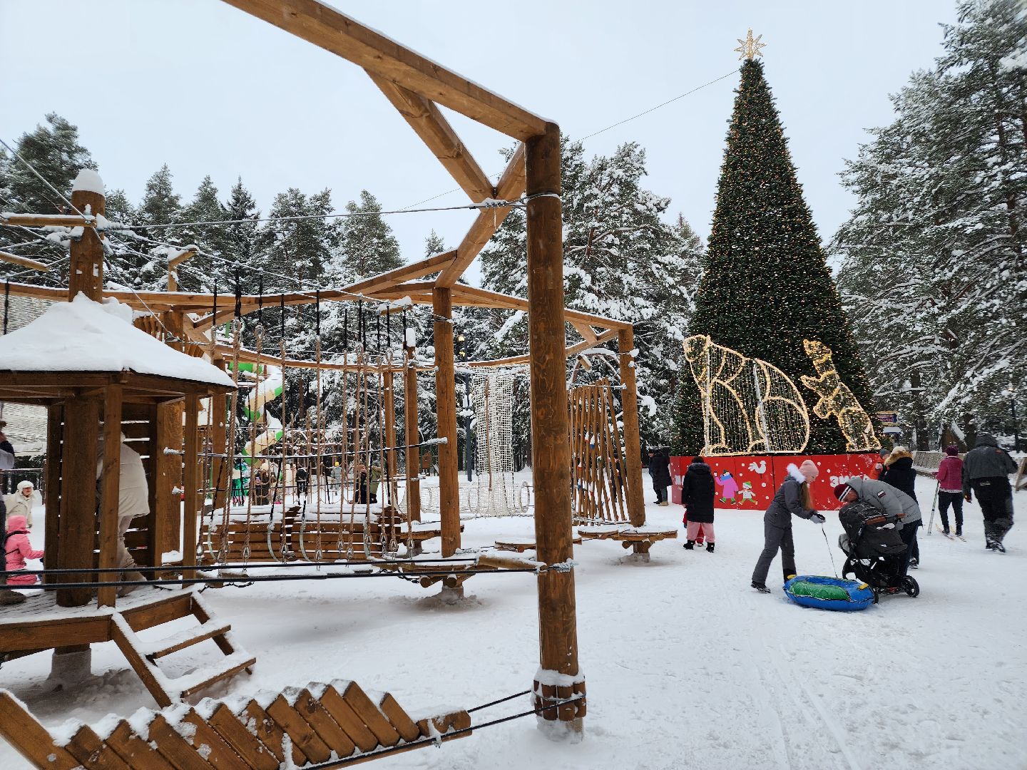 Лес, Парк, Лыжи, лыжная трасса, соревнования, зажжение елки,