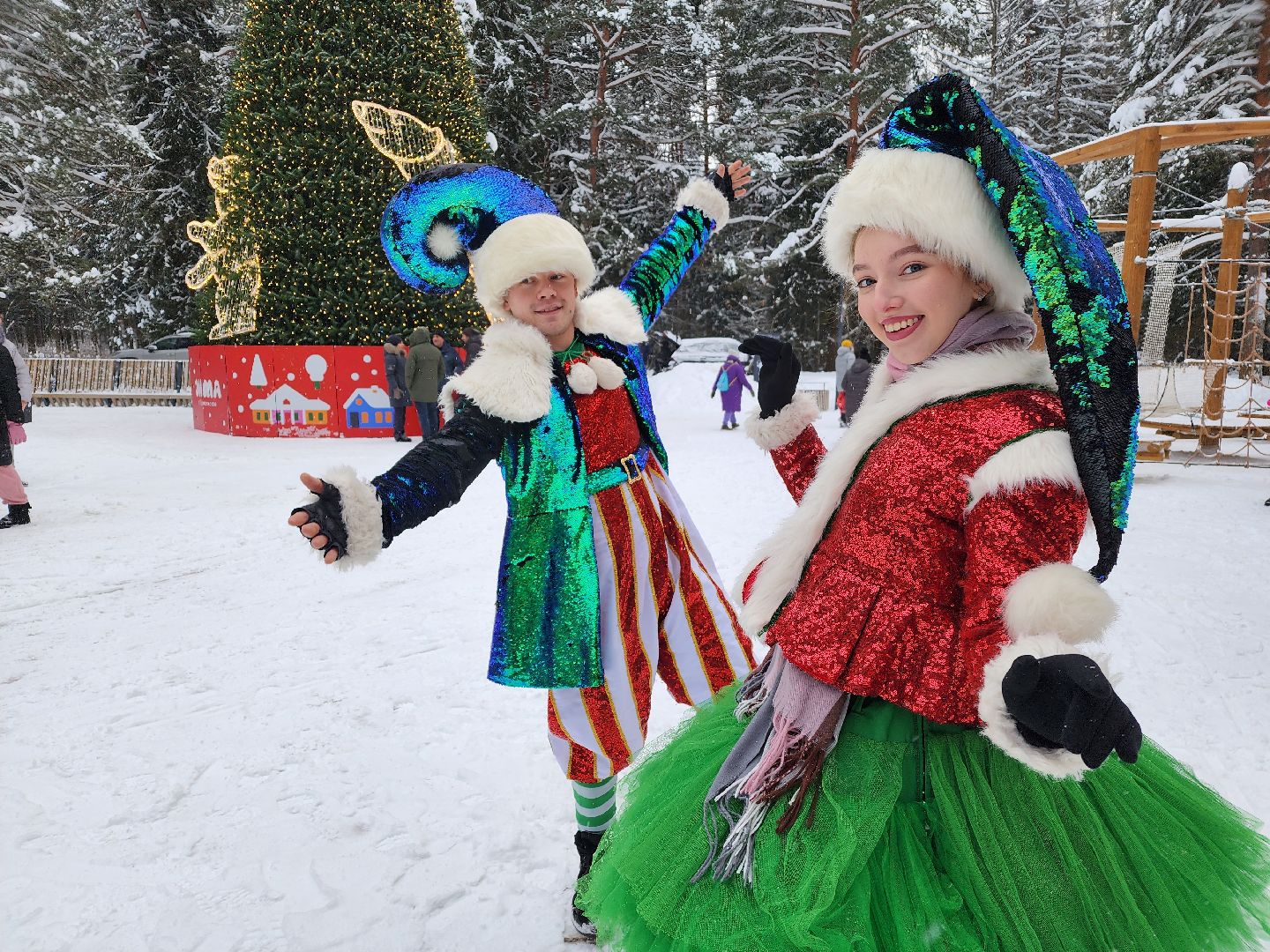 Лес, Парк, Лыжи, лыжная трасса, соревнования, зажжение елки,