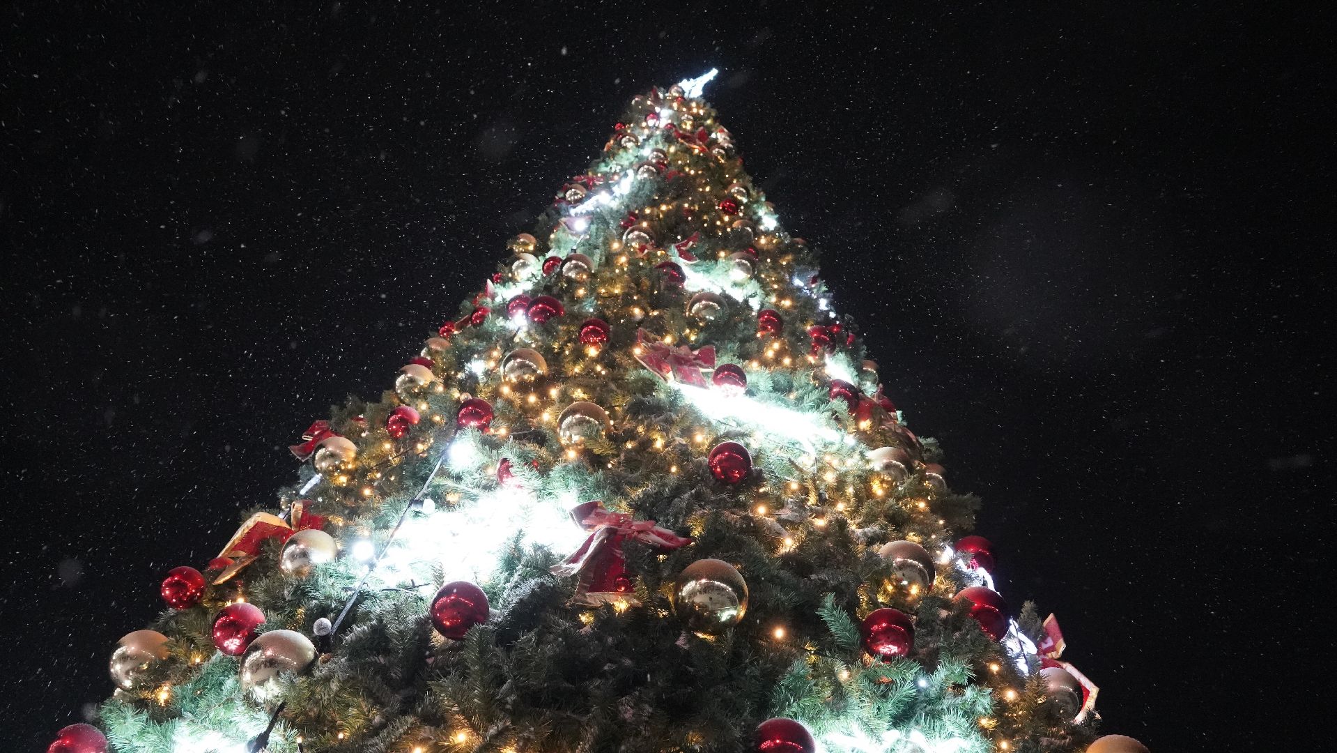 елка, Рошаль, Большая Шатура, праздник,