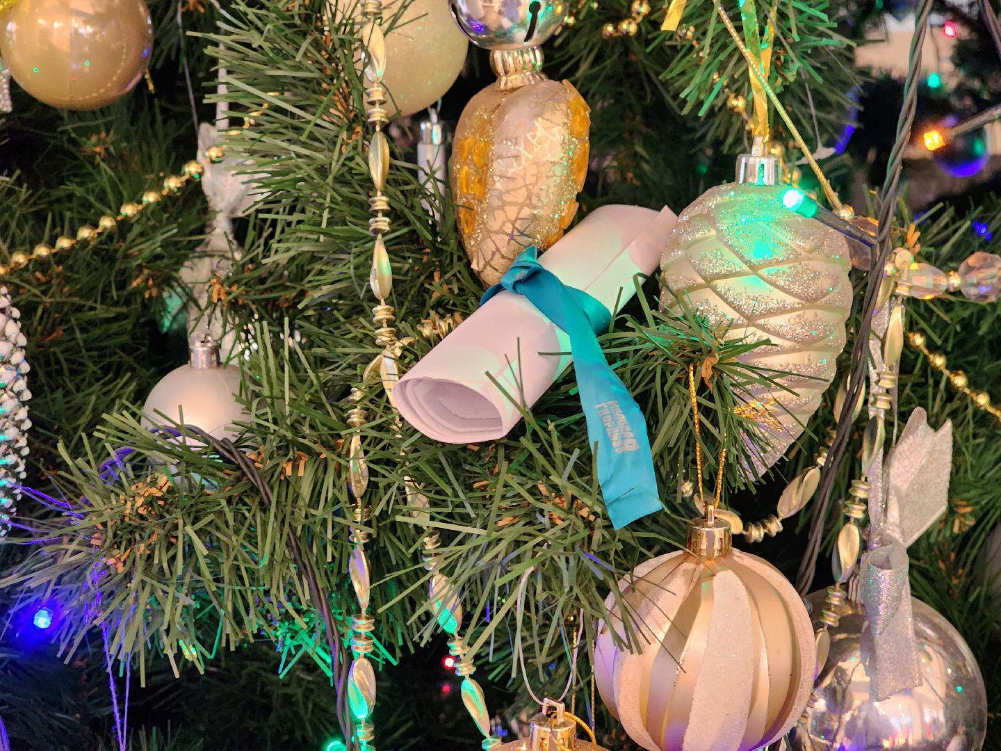 благотворительная акция, елка желаний, щёлково, волонтеры, единая россия,