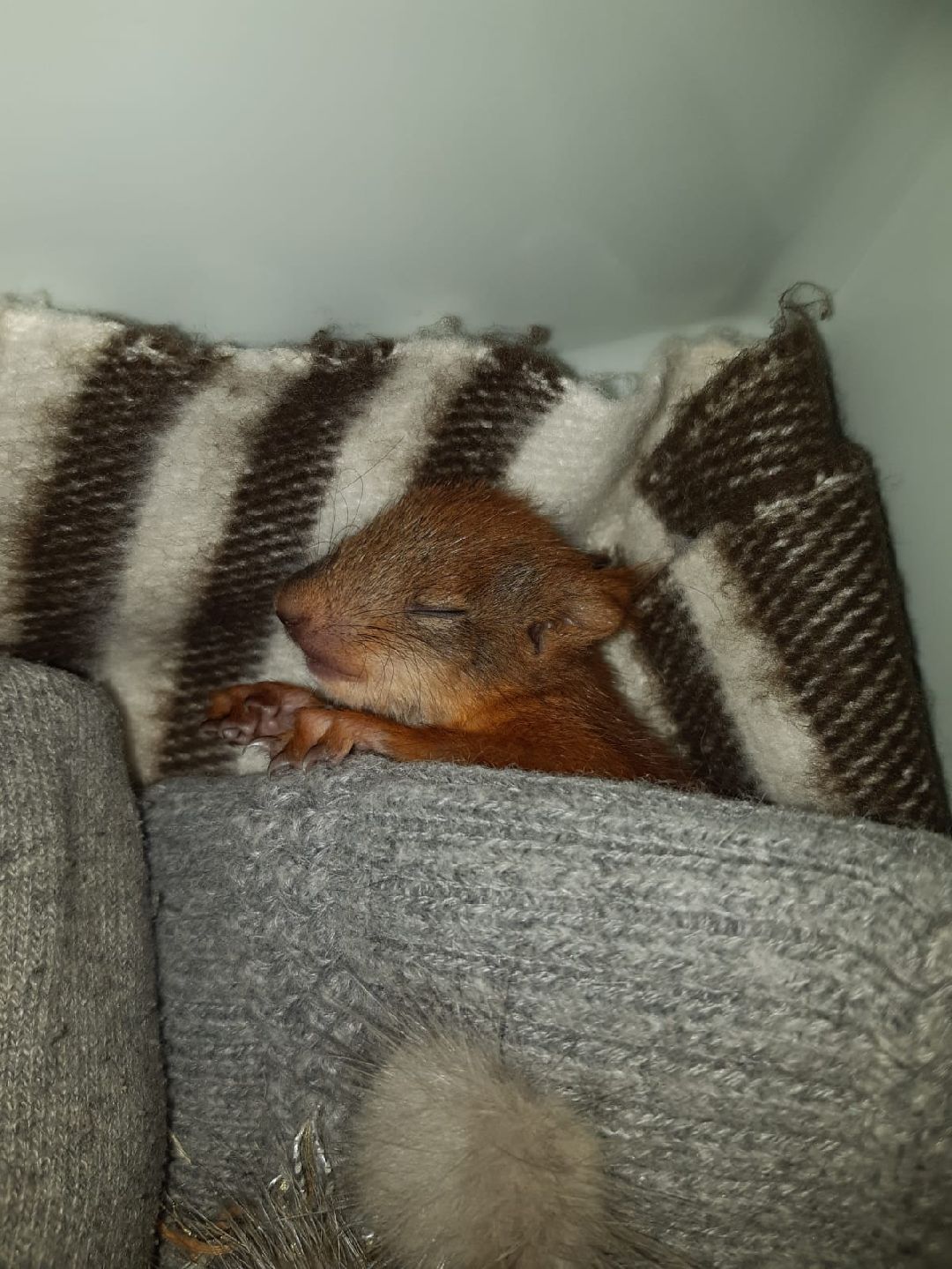 Одинцово, общество