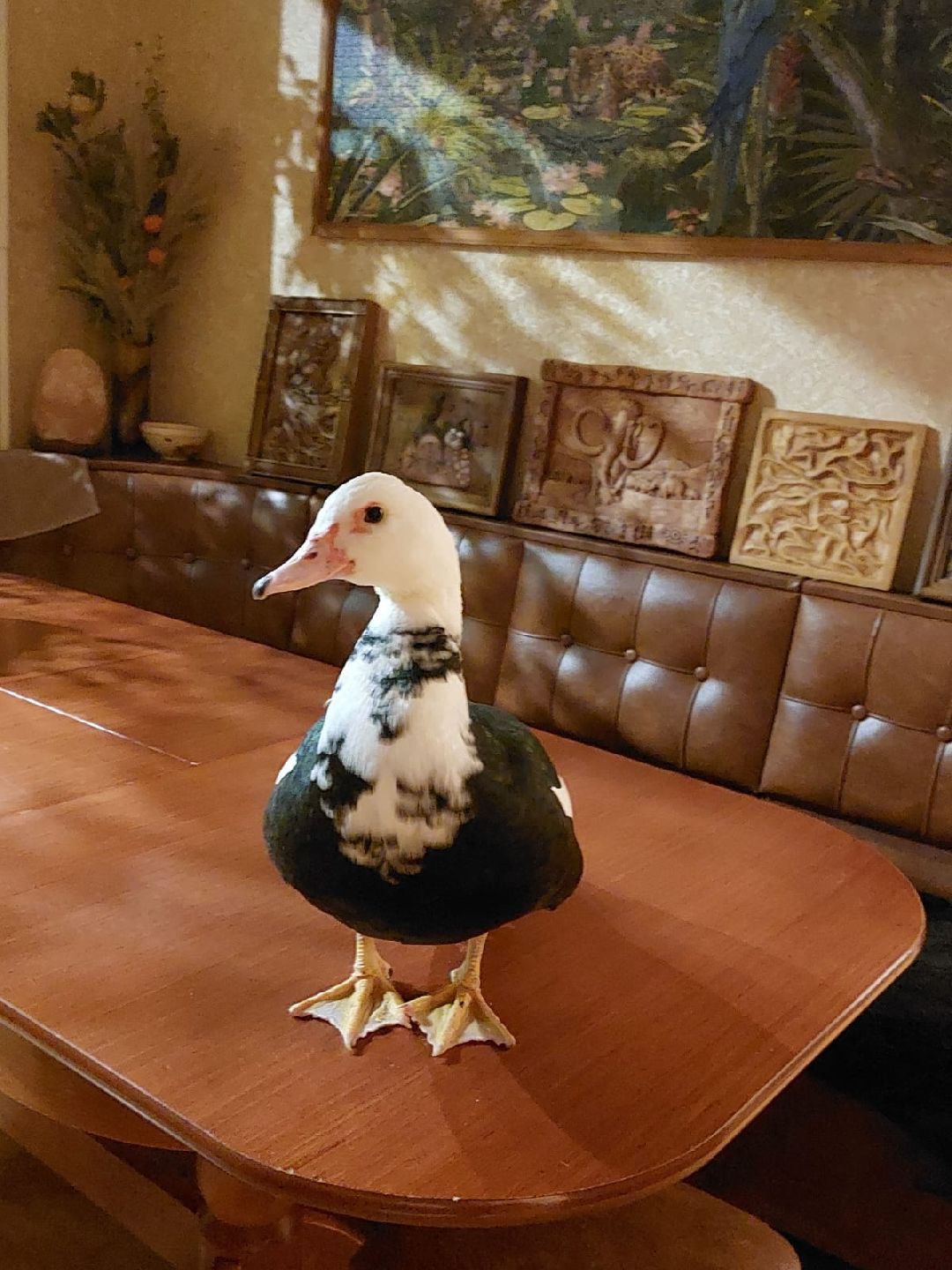 Одинцово, общество