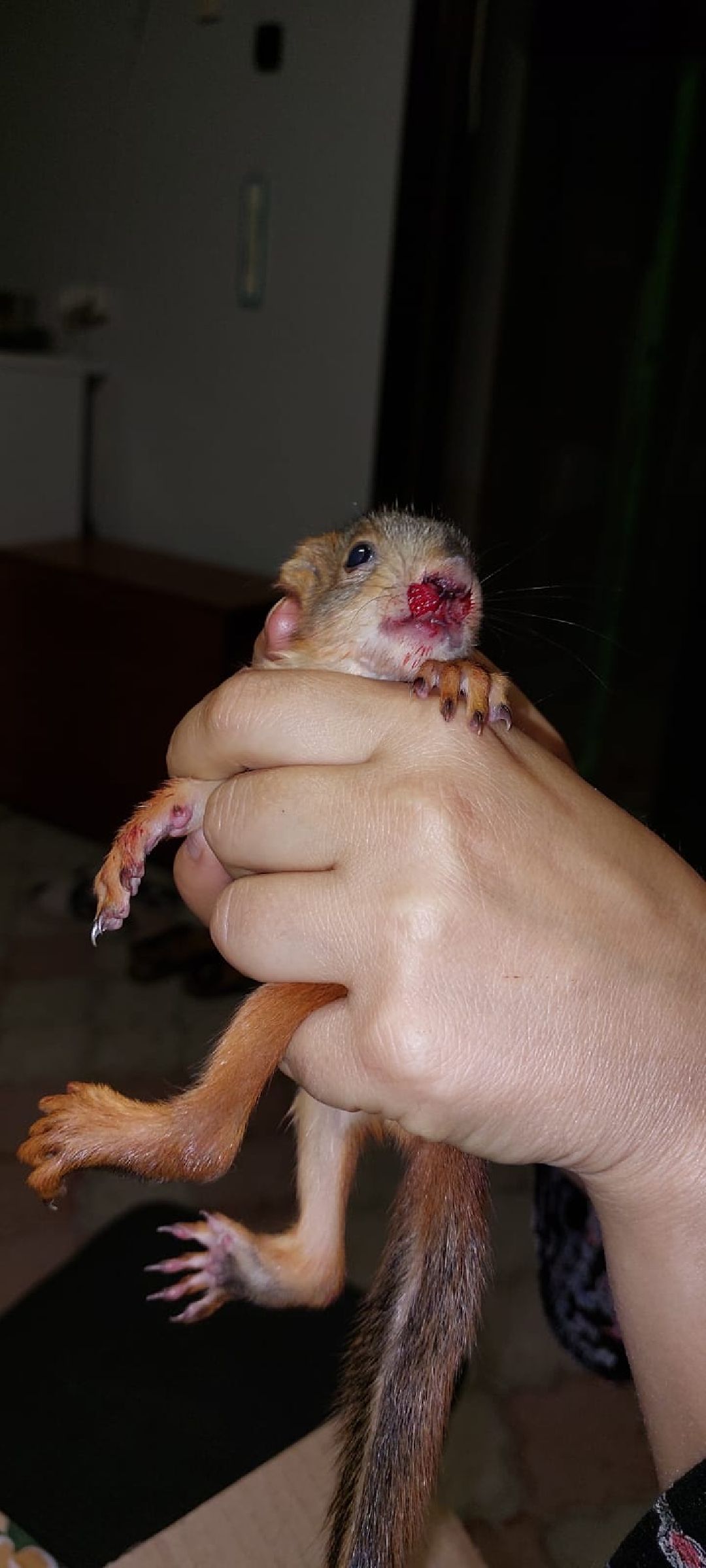 Одинцово, общество