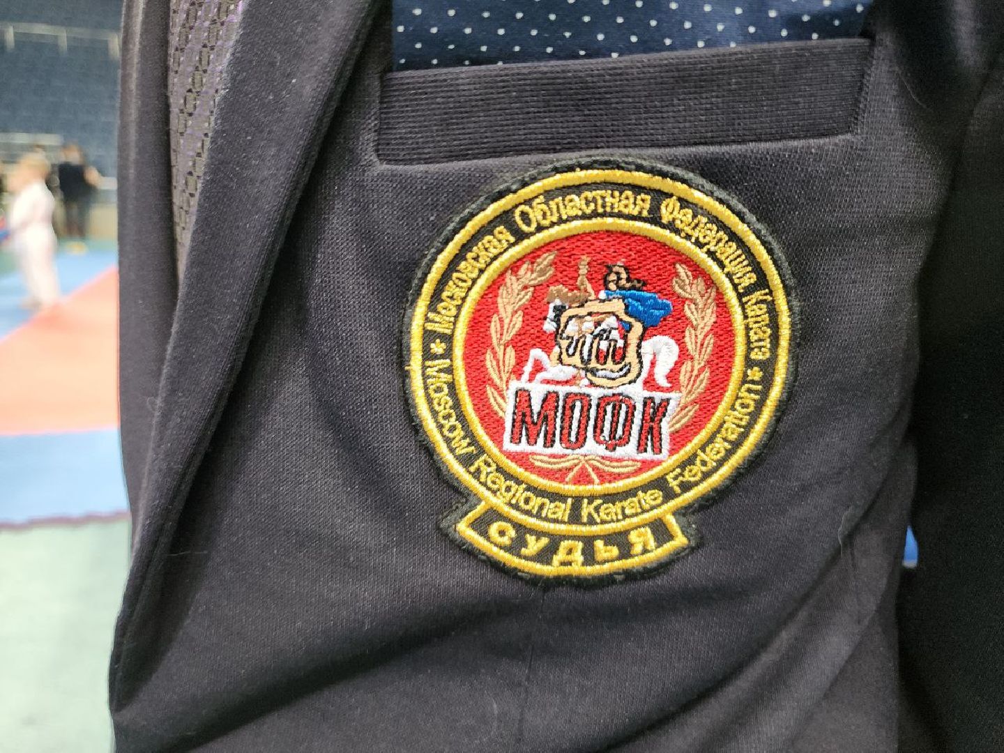 карате, спорт подмосковья, сила воли, первенство, видное,