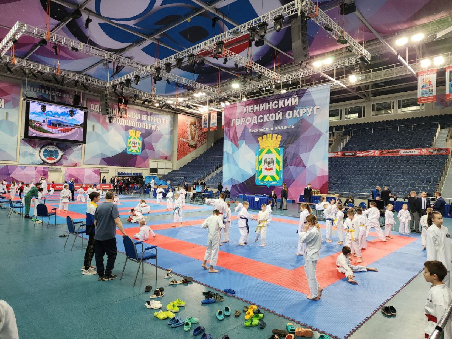 карате, спорт подмосковья, сила воли, первенство, видное,