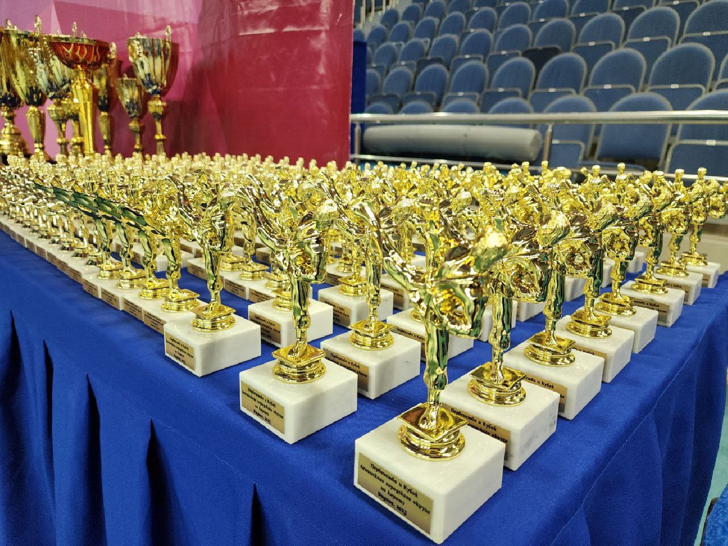 карате, спорт подмосковья, сила воли, первенство, видное,