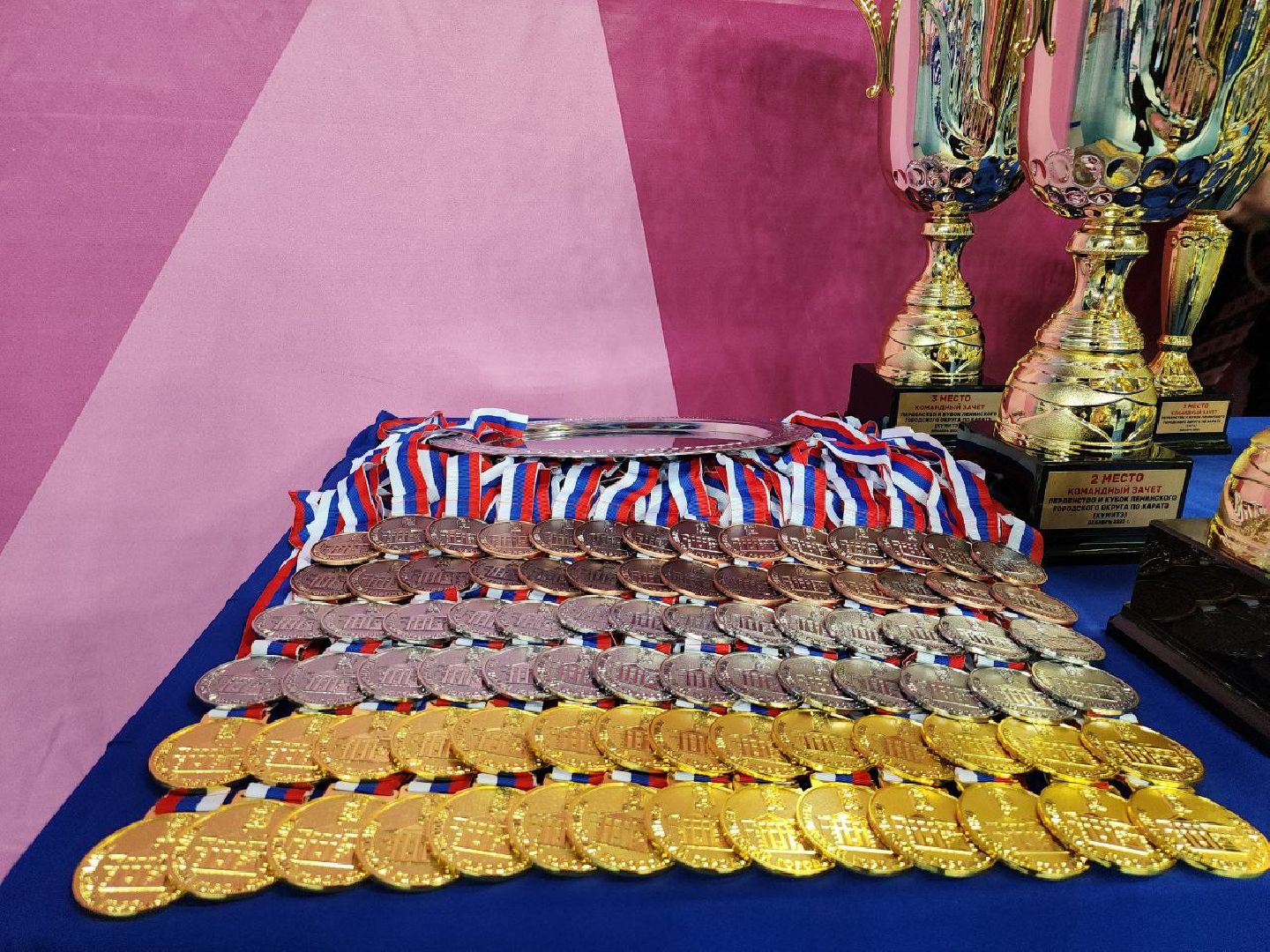 карате, спорт подмосковья, сила воли, первенство, видное,