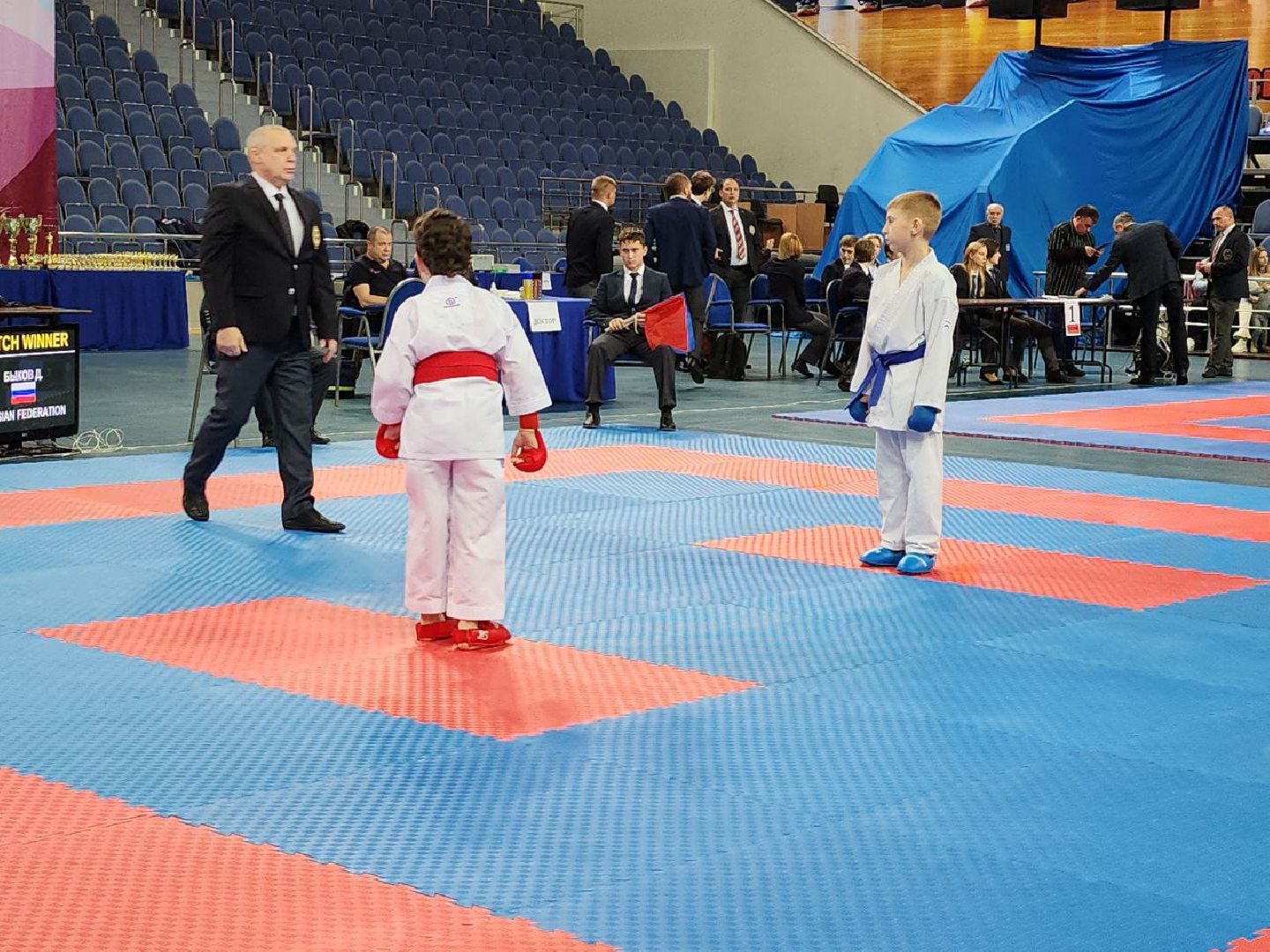 карате, спорт подмосковья, сила воли, первенство, видное,