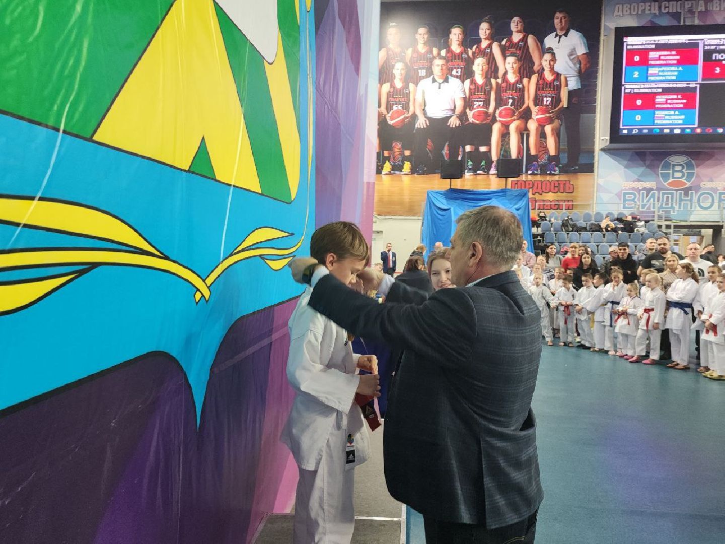 карате, спорт подмосковья, сила воли, первенство, видное,