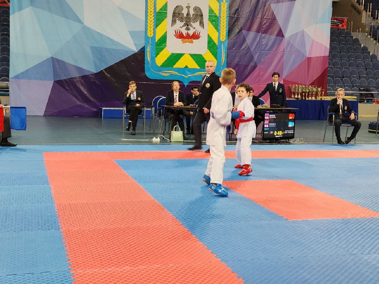 карате, спорт подмосковья, сила воли, первенство, видное,