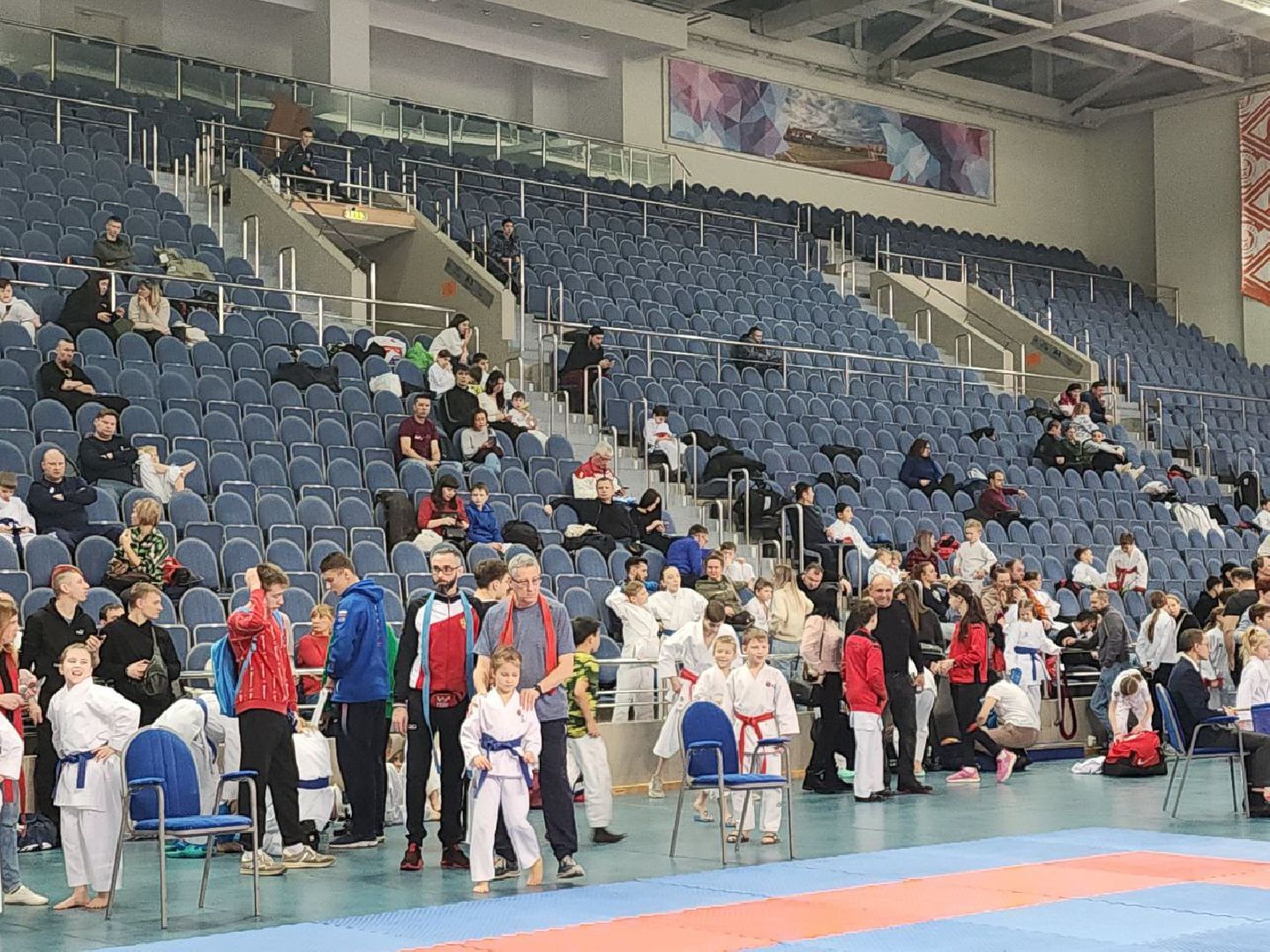 карате, спорт подмосковья, сила воли, первенство, видное,