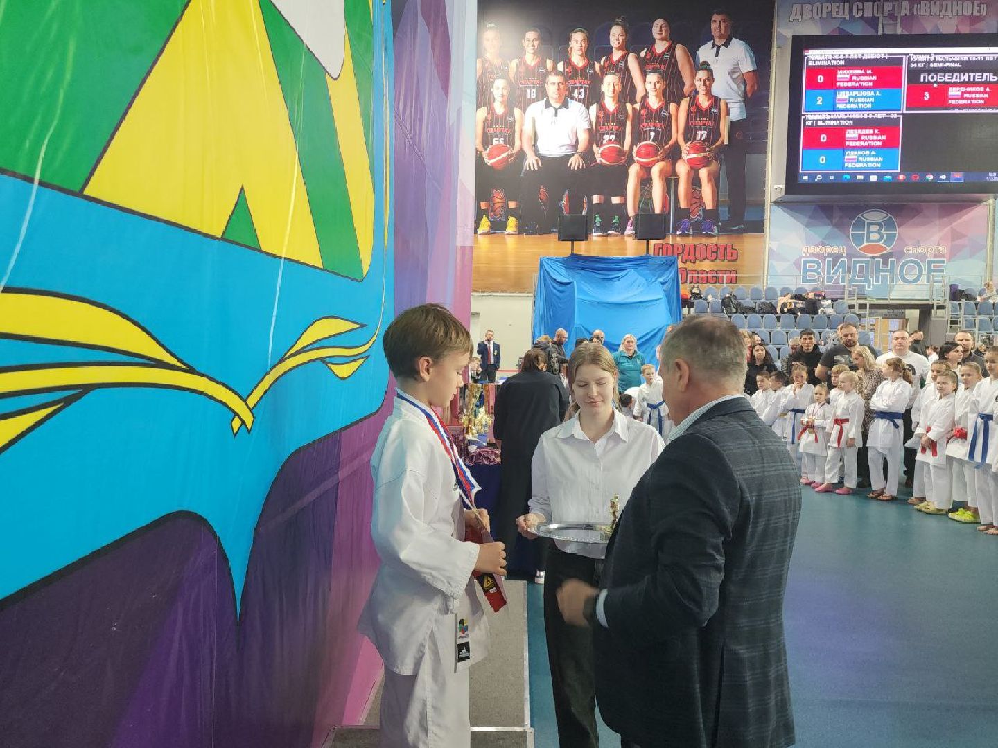 карате, спорт подмосковья, сила воли, первенство, видное,