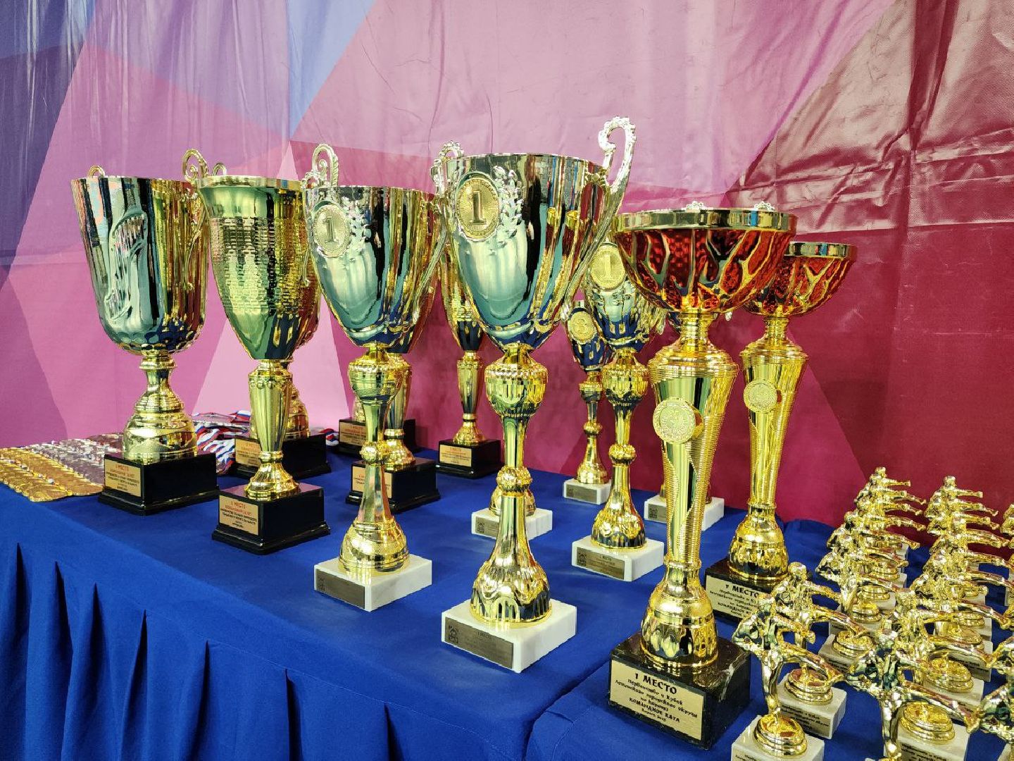 карате, спорт подмосковья, сила воли, первенство, видное,