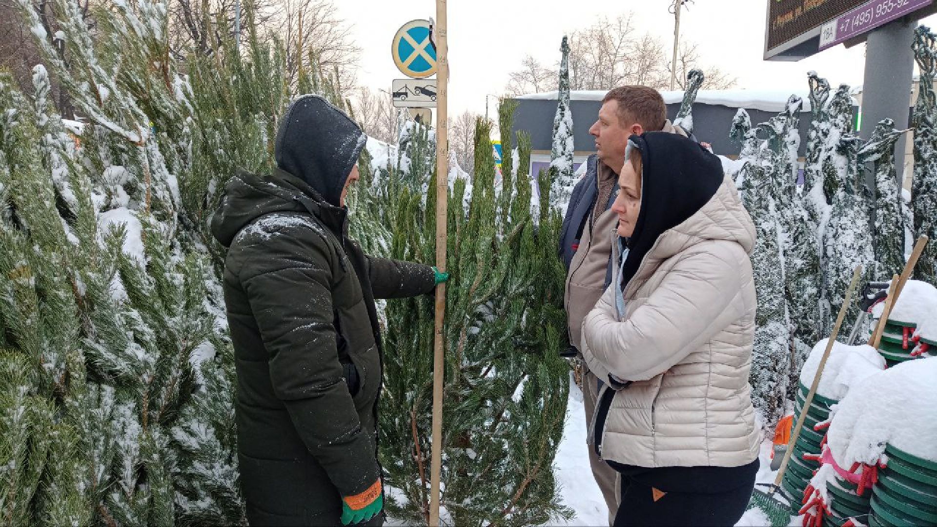 Реутов, базар, елки, новый год, символ года, лесная красавица,