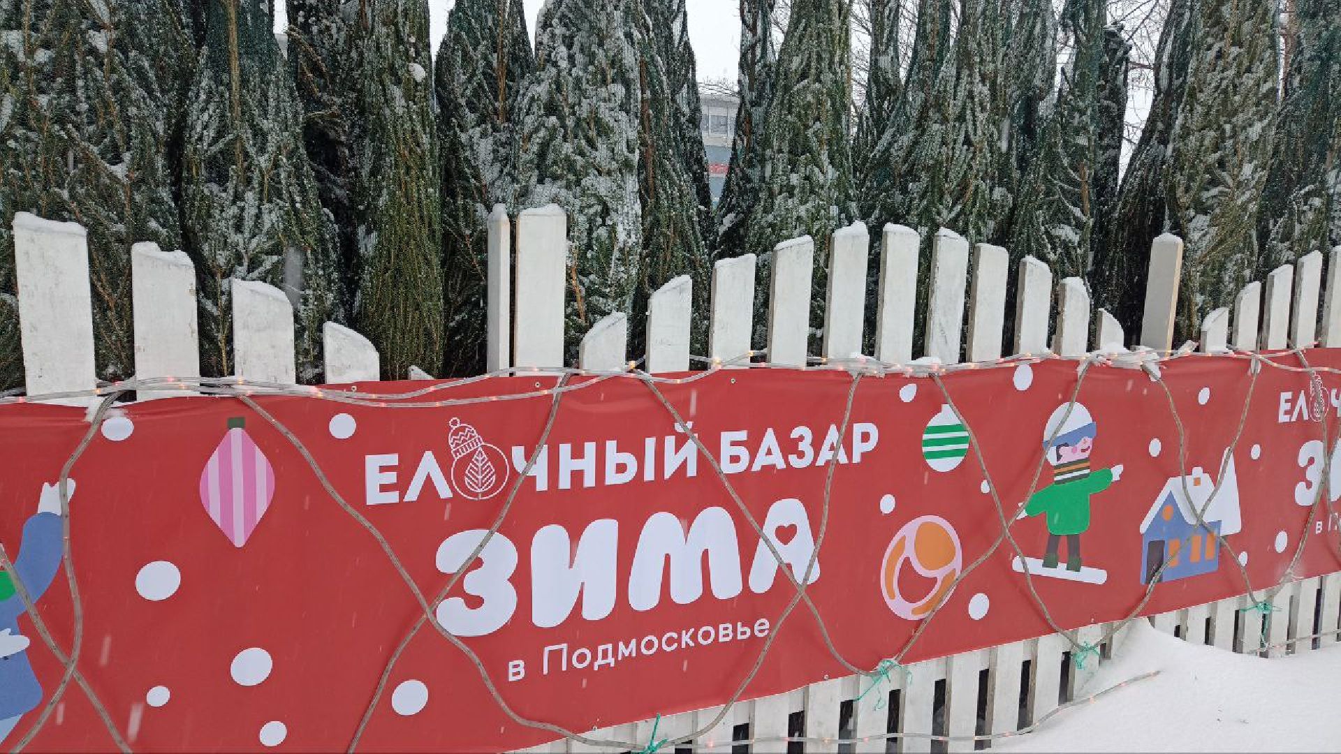 Реутов, базар, елки, новый год, символ года, лесная красавица,