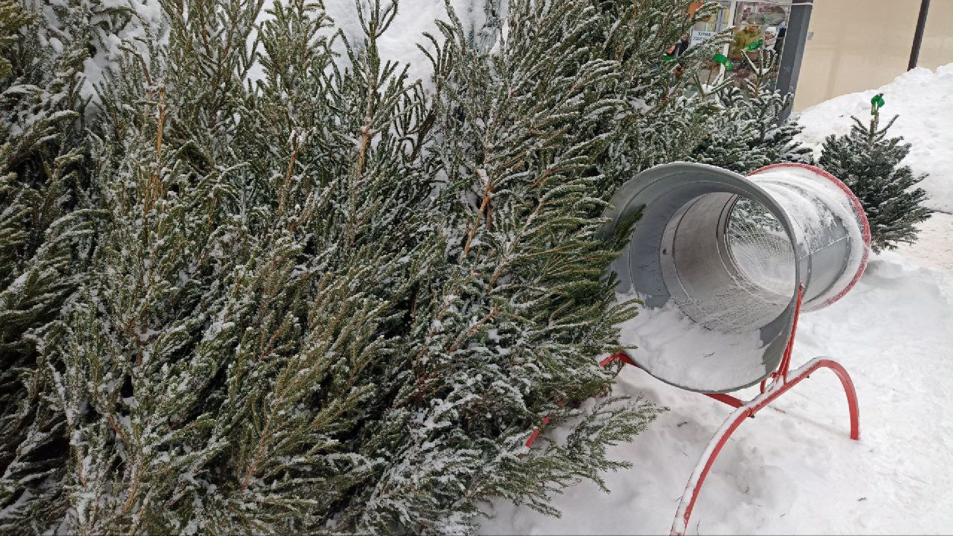 Реутов, базар, елки, новый год, символ года, лесная красавица,