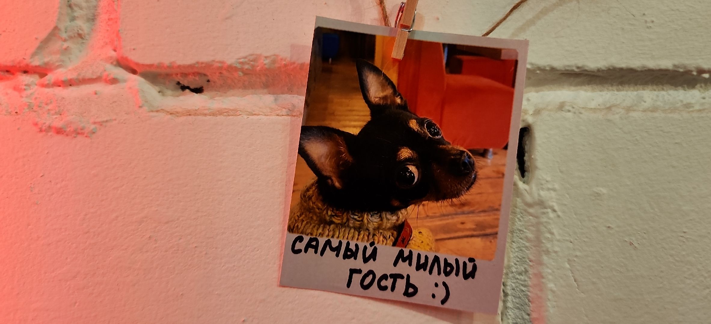 акция, электросталь, кафе, подмосковье, зима, зима 2024, зима в подмосковье, кофе, кофейня, туризм, туризм в подмосковье, гастрономический туризм,