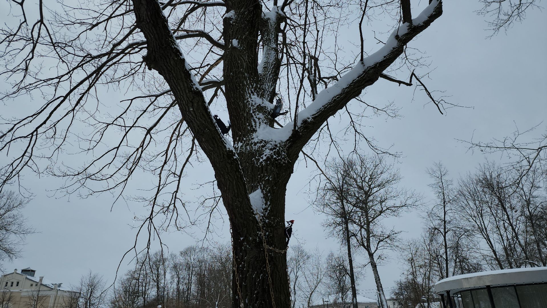 серпухов, подмосковье, арт-объект, парк имени олега степанова,