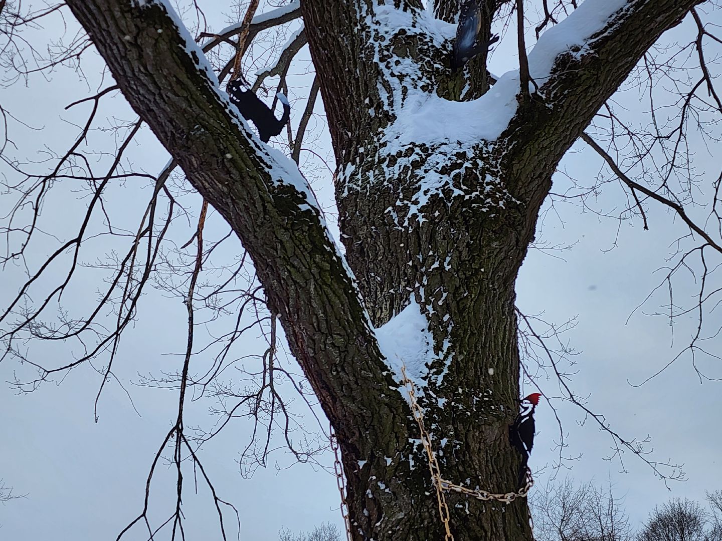 серпухов, подмосковье, арт-объект, парк имени олега степанова,