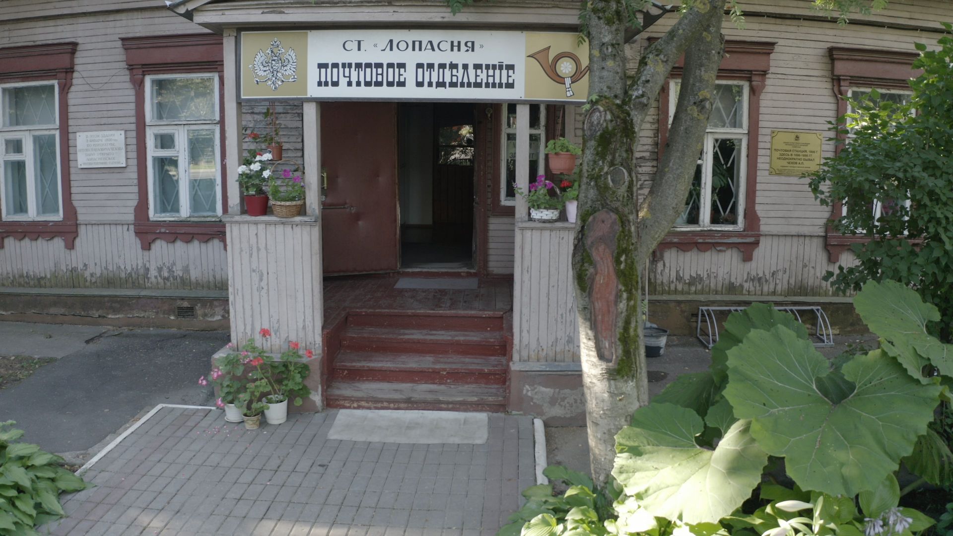 видео с коптера,