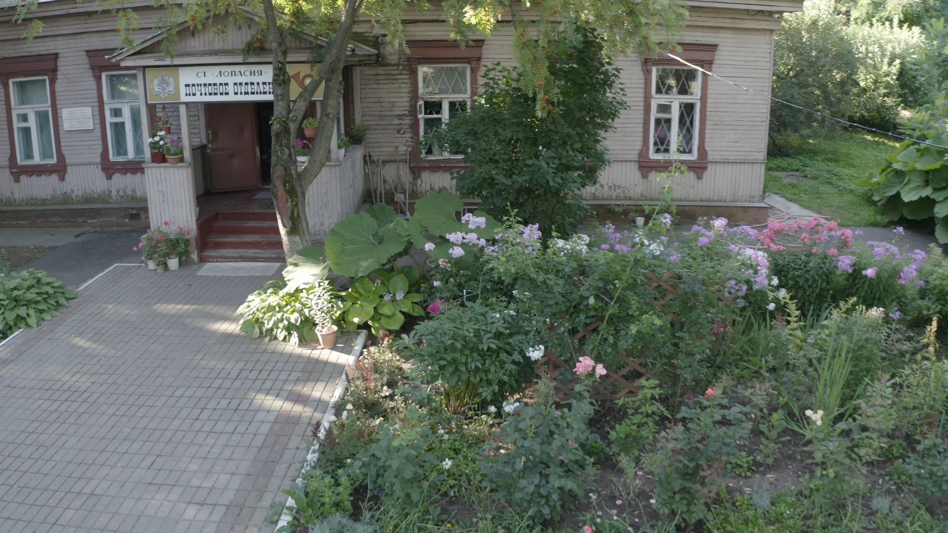 видео с коптера,