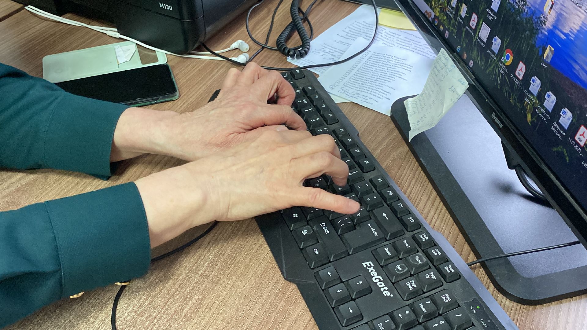 волоколамск, лесничий, елки, елочка, природа, эколог, экология,