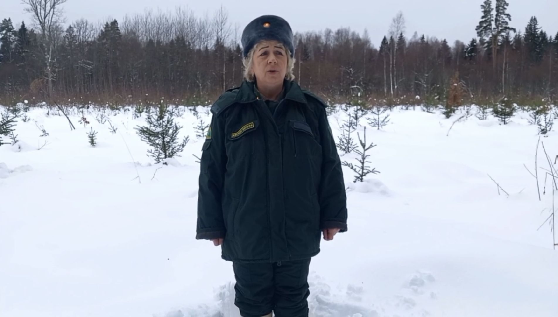 волоколамск, лесничий, елки, елочка, природа, эколог, экология,