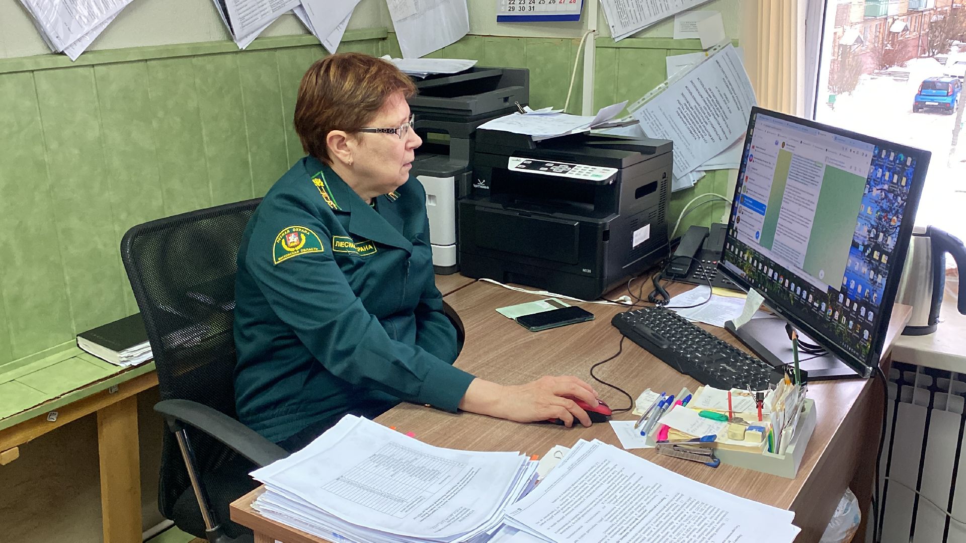 волоколамск, лесничий, елки, елочка, природа, эколог, экология,